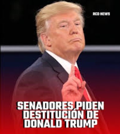 EL PRESIDENTE TRUMP Y LA PRETENDIDA DESTITUCION